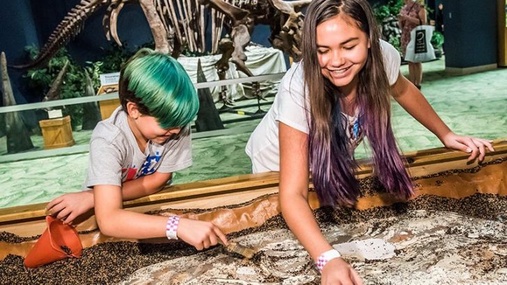 This Museum Day Try These 10 Fun Activities With Your Family