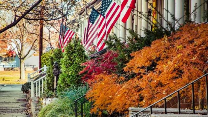 15 Normal Everyday Things Most Americans Are Too Proud Of