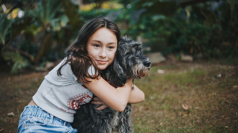 Play with a Pet