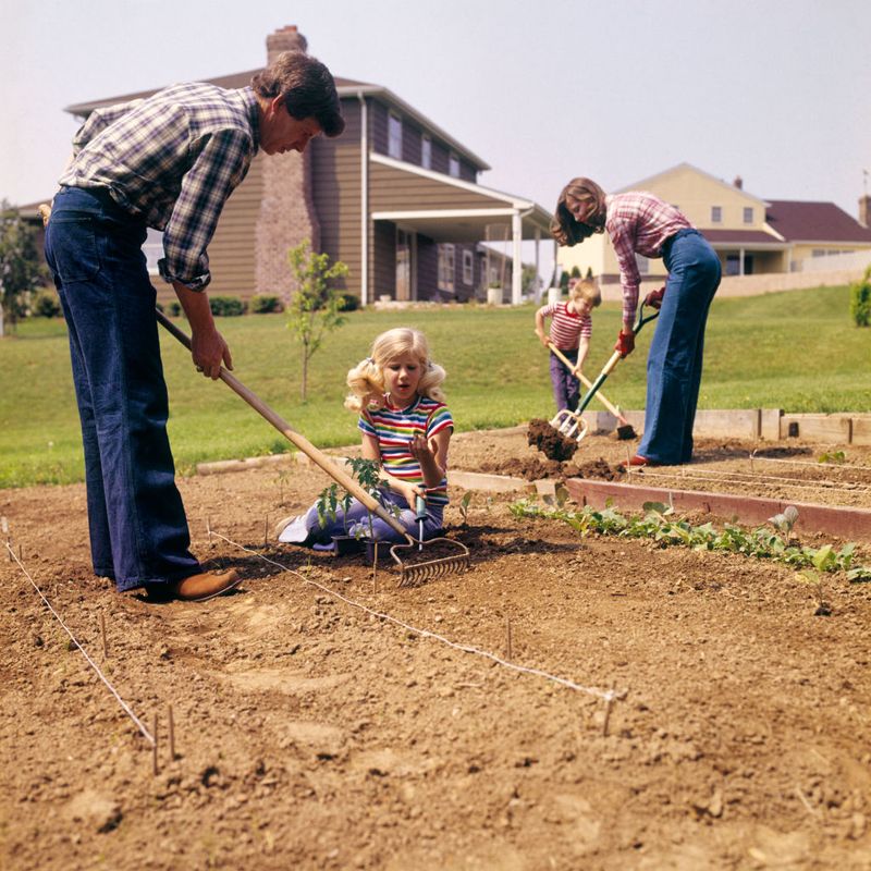 Home Gardening