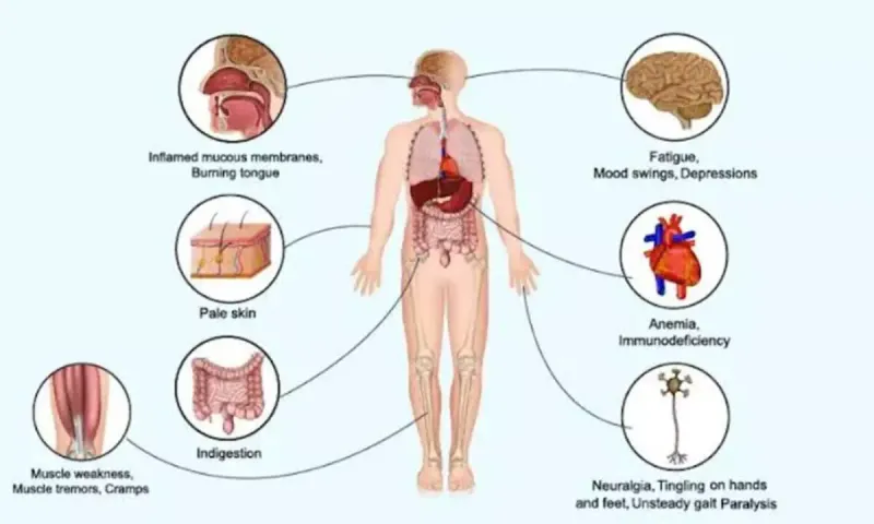 Fatigue and Weakness