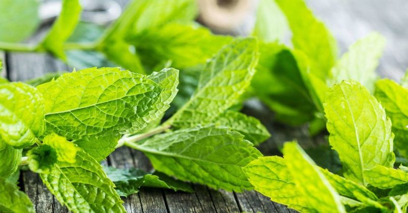 Herbal Remedies