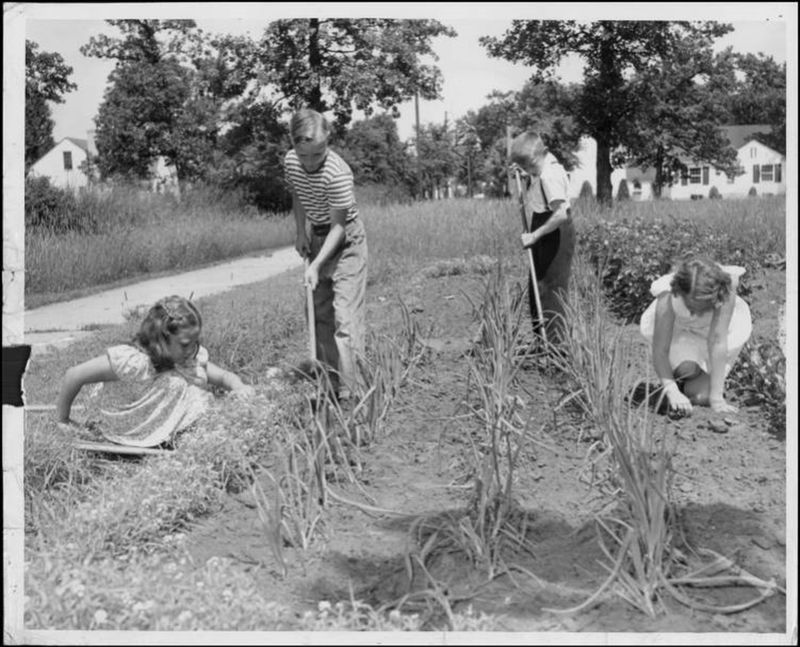 Gardening and Food Preservation
