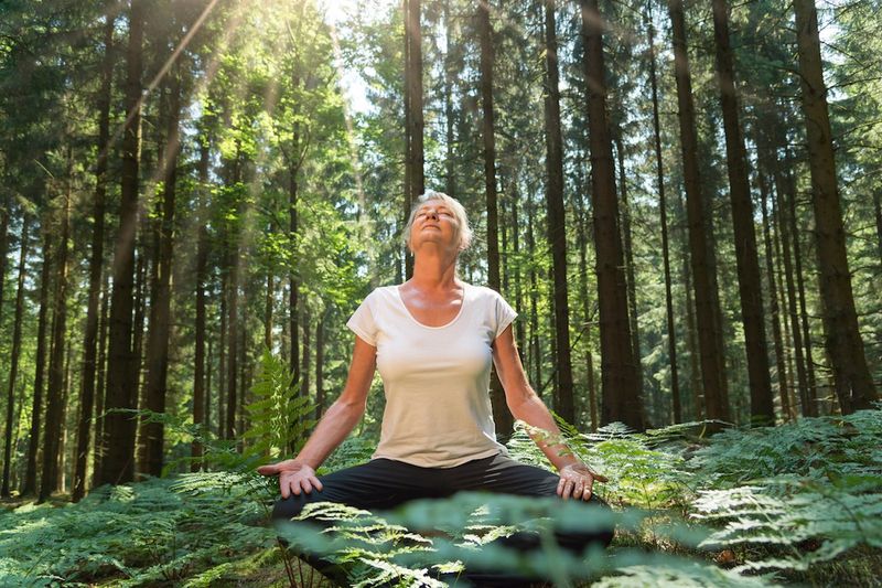 Fosters Mindfulness