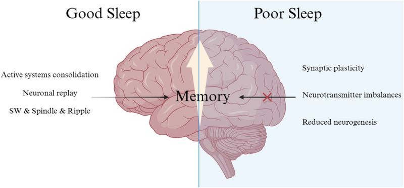 Inadequate Sleep