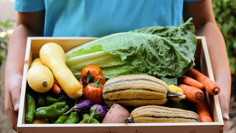 Join a Community Supported Agriculture (CSA)
