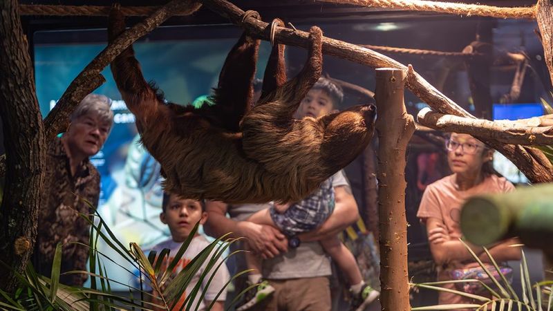 Live Animal Encounter