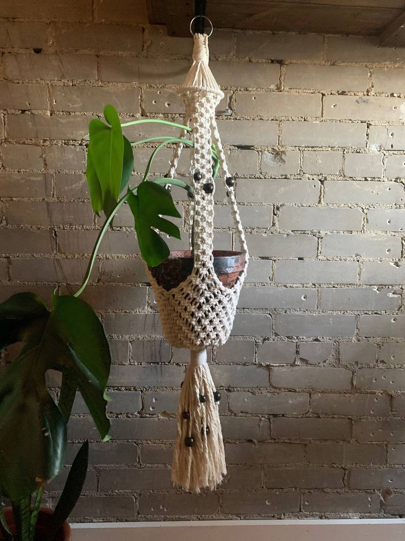 Macramé Plant Hangers