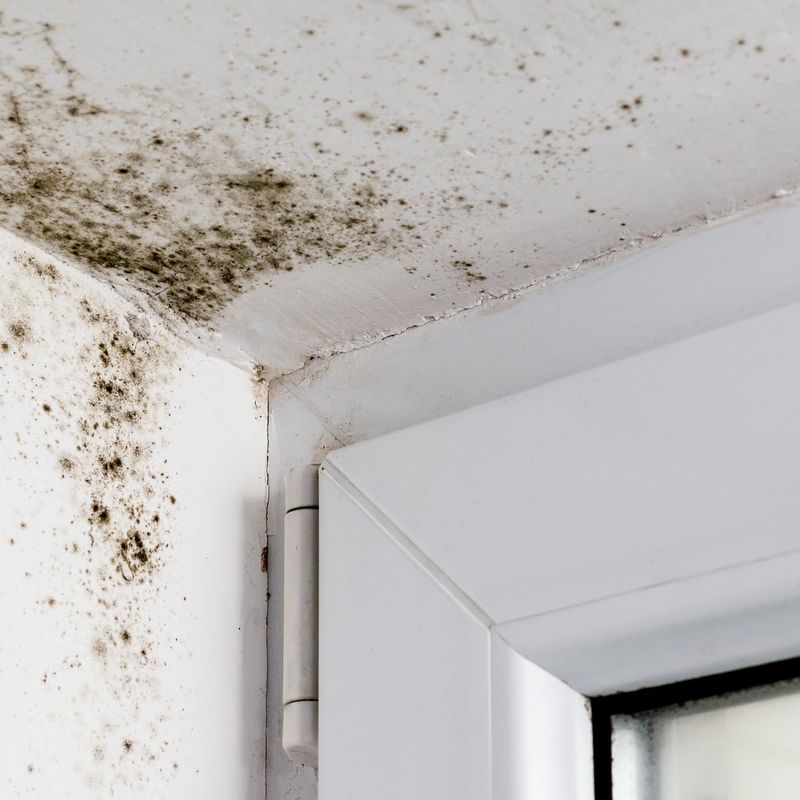 Mold