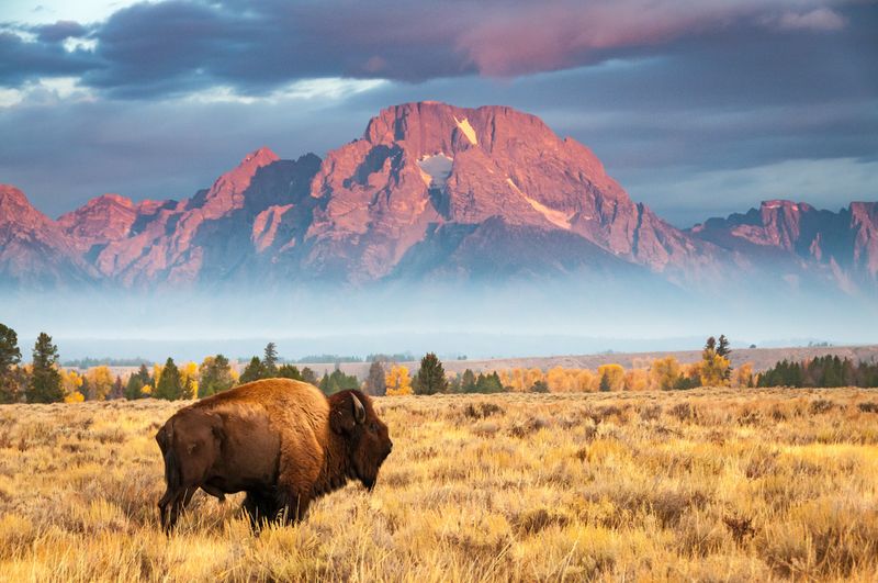 National Parks