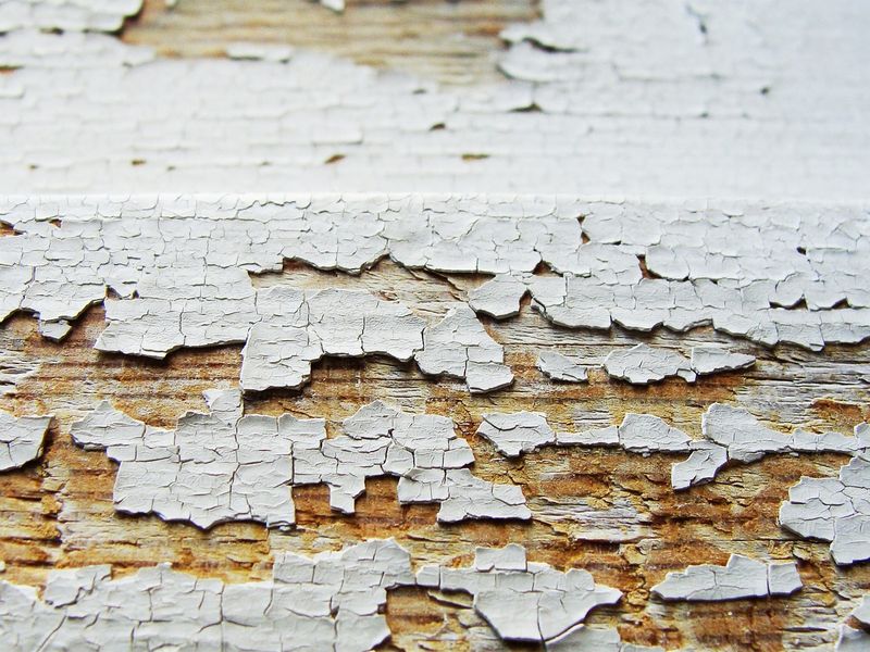 Old Paint