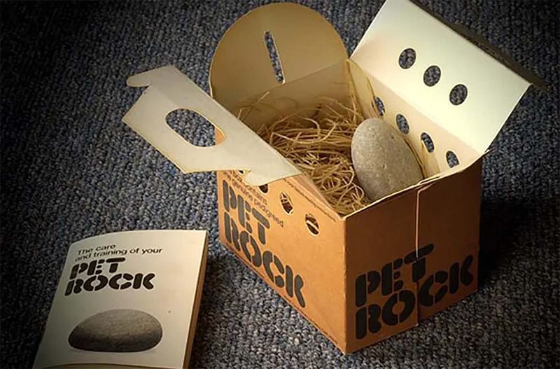 Pet Rock Craze