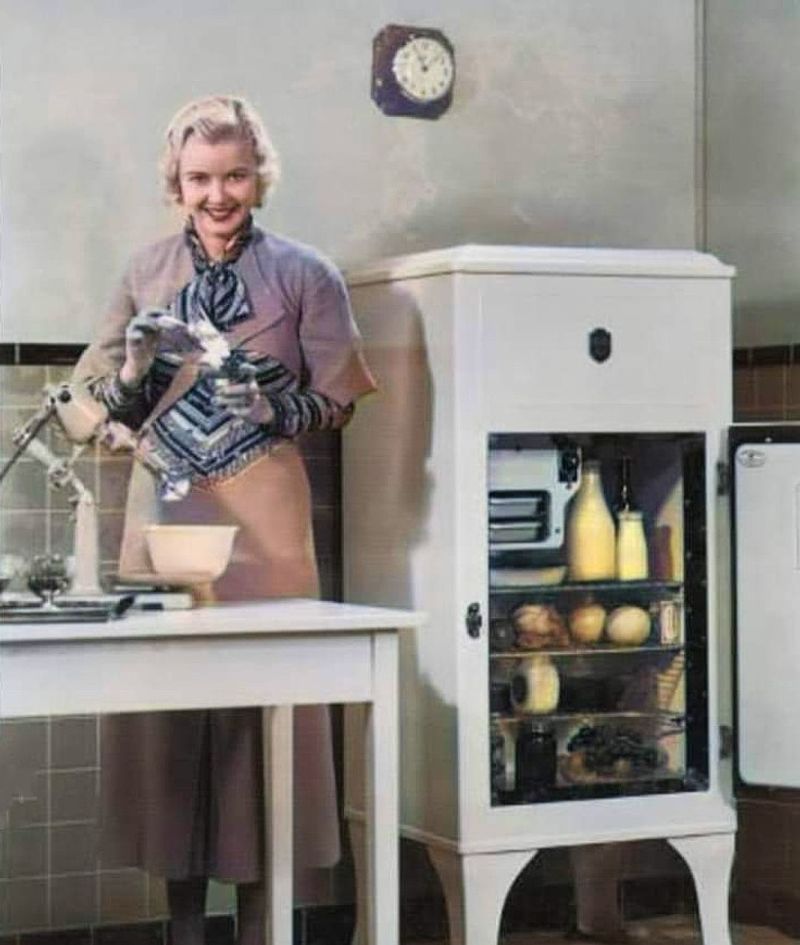 Phrase: Icebox