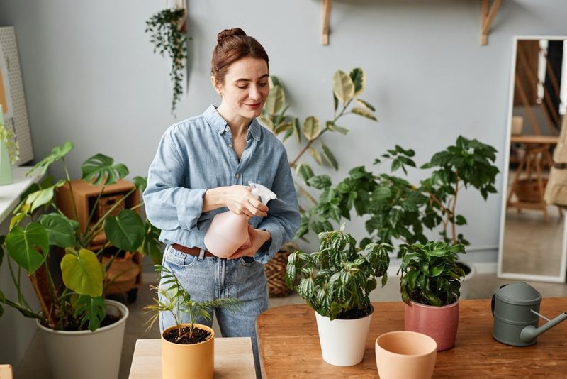 Plant Parenthood