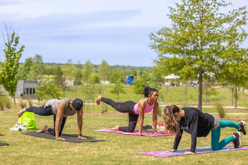 Exercise Regularly