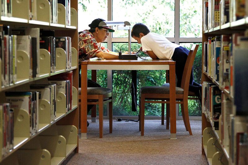 Public Libraries