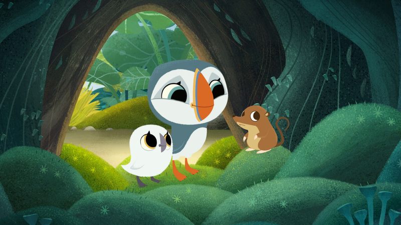 Puffin Rock