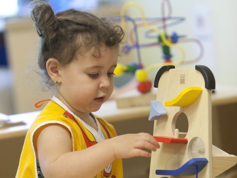 Rapid Learning Abilities