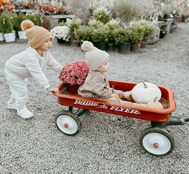 Red Wagon