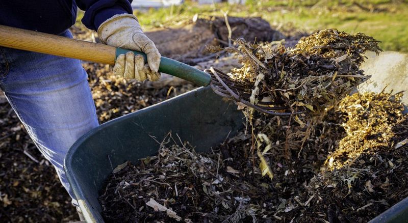 Resourcefulness in Scarcity