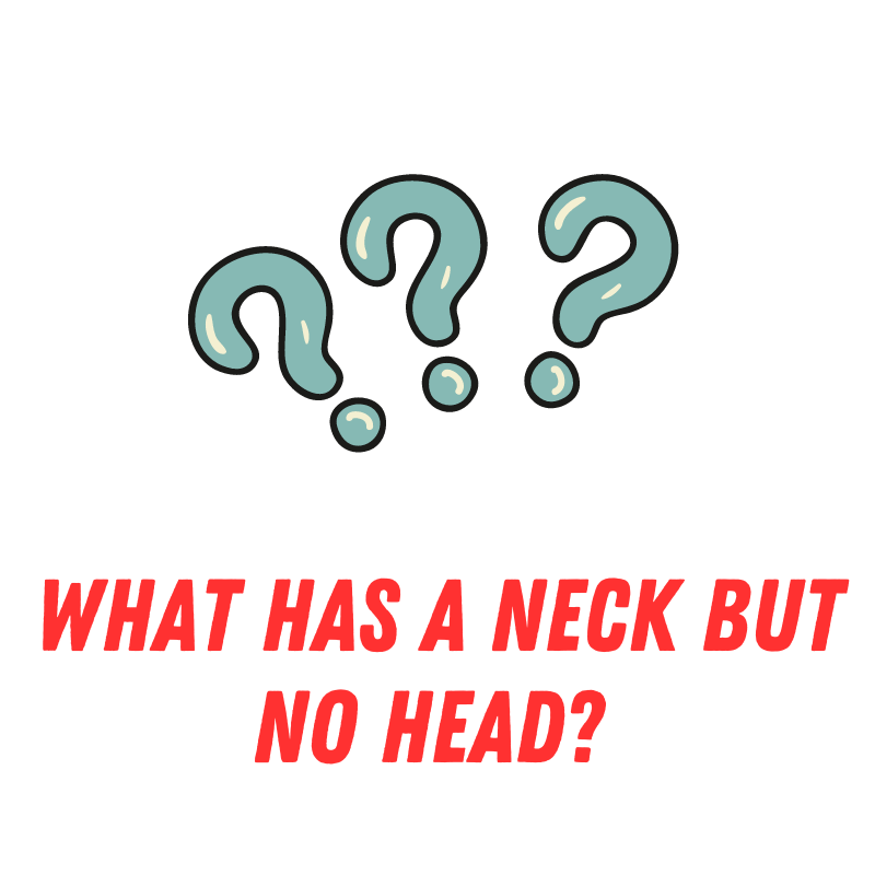 Riddle 6: The Feathered Friend