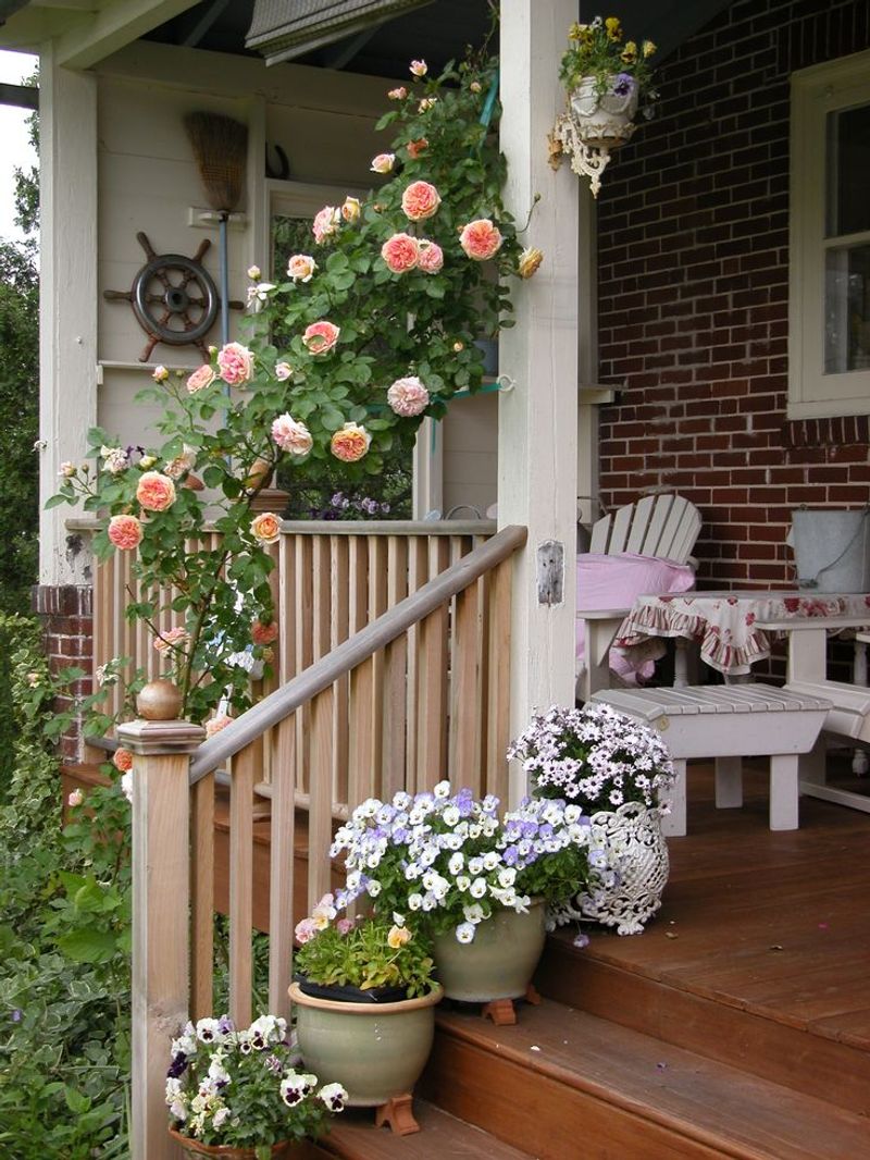 Garden Hideaway