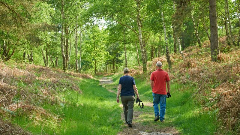 Take a Nature Walk