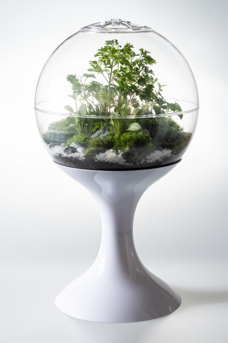 Terrariums