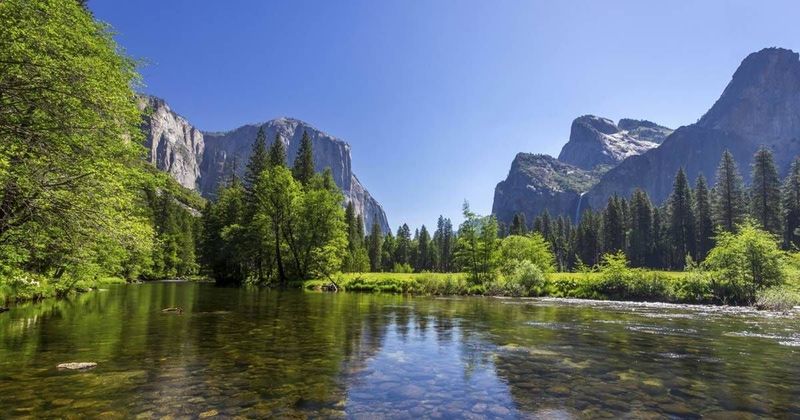 Environmental Changes and Concerns