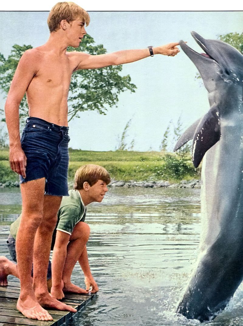 The Flipper Show