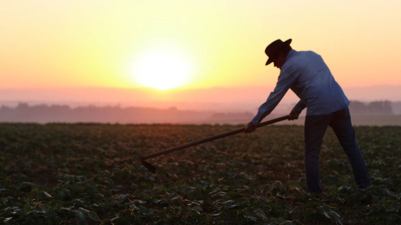 The Value of Hard Work
