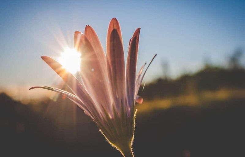Explore Name Meanings
