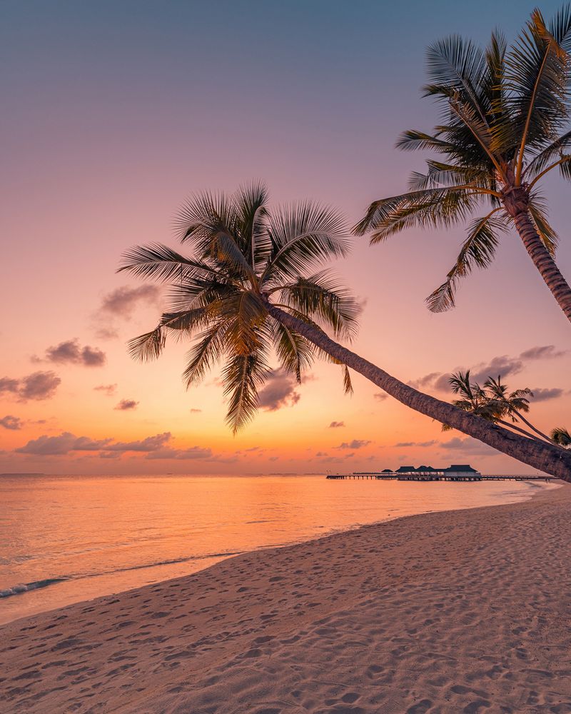 Tropical Beach Resort in Maldives