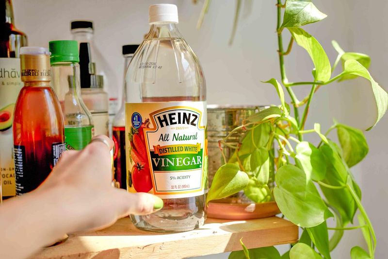 Using Vinegar on All Surfaces
