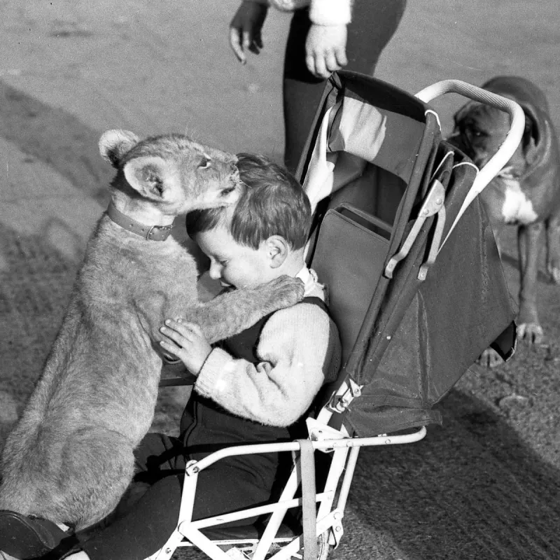 Zoos
