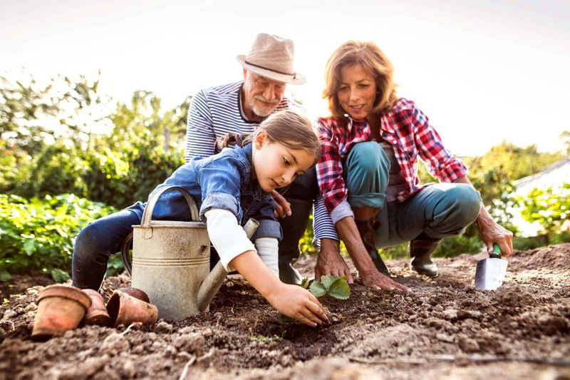 Home Gardening