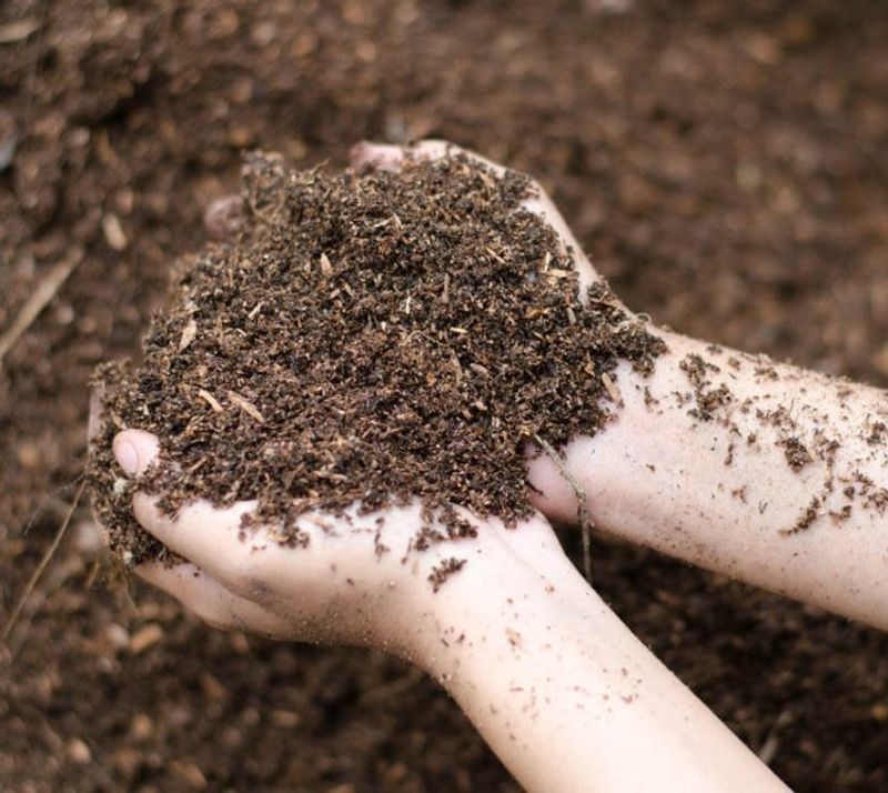 Soil Preparation