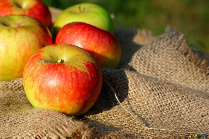 An Apple a Day Keeps the Doctor Away