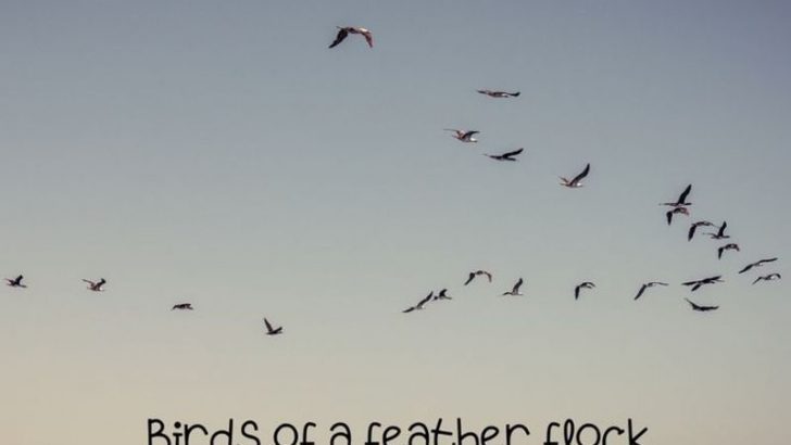 12 Old-School Sayings That Still Work Well On Us Today