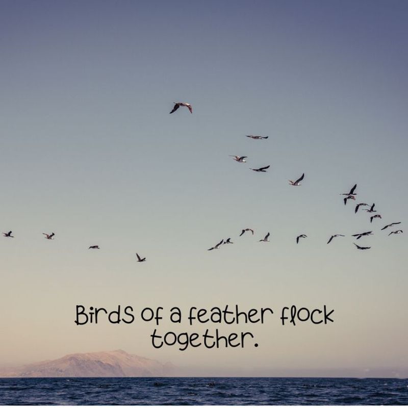 Birds of a Feather Flock Together