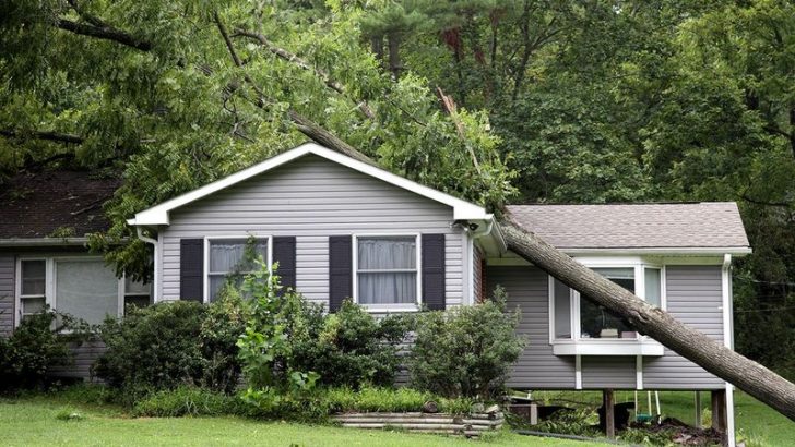 7 Common Home Insurance Assumptions That Could Leave You Hanging