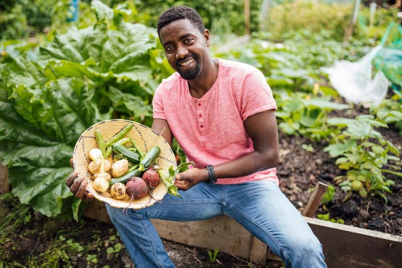 Home Gardening