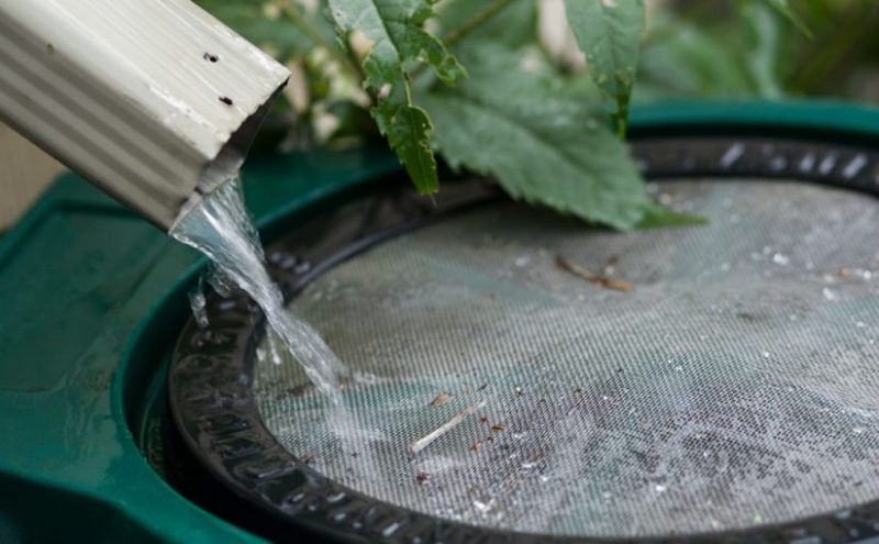 Rainwater Collection