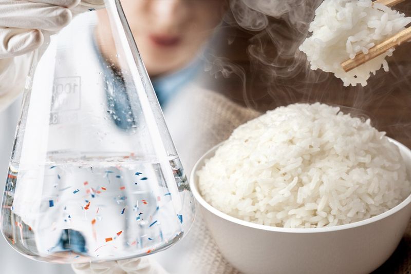 Rice