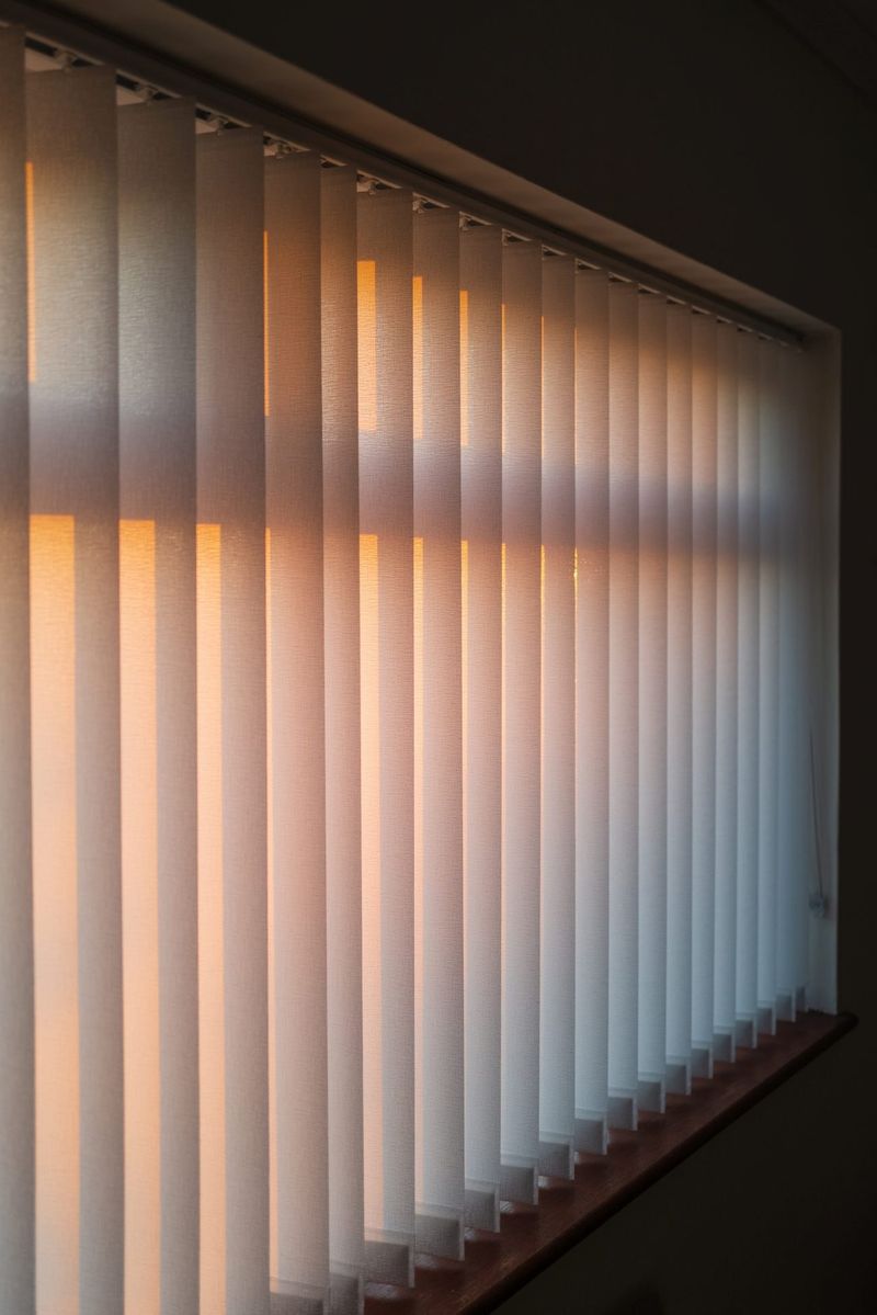 Vertical Blinds