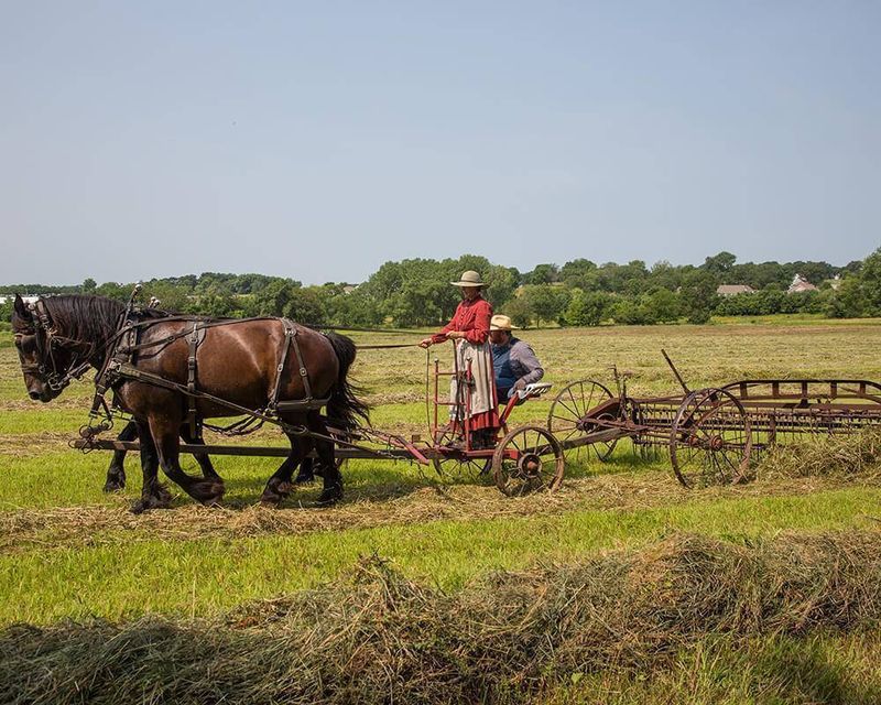 Agriculture