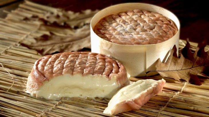 6 Of The Worst Cheeses You Should Never Eat