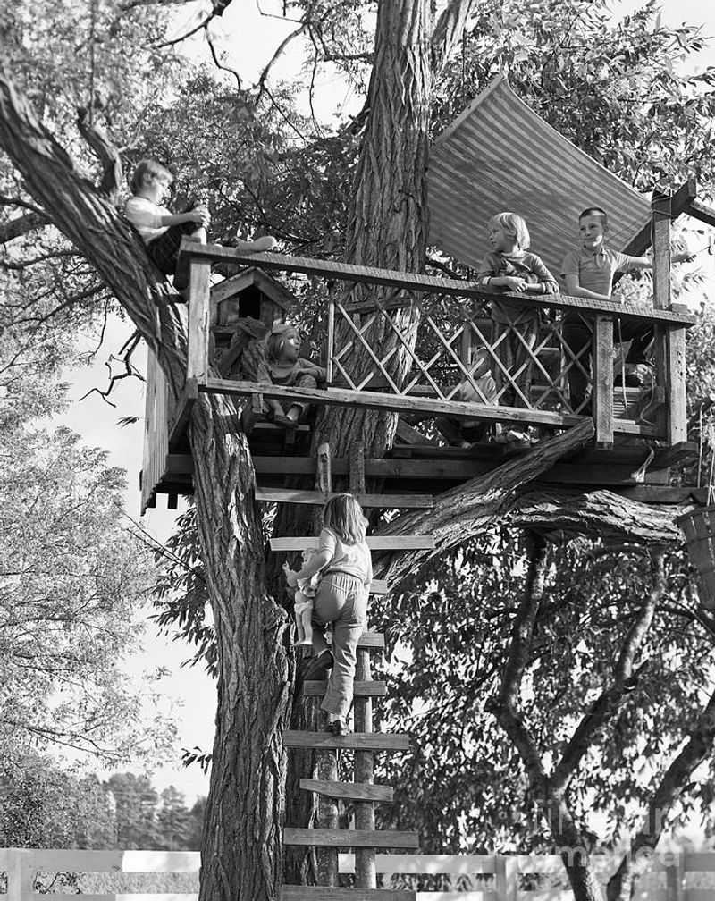 Building Treehouses