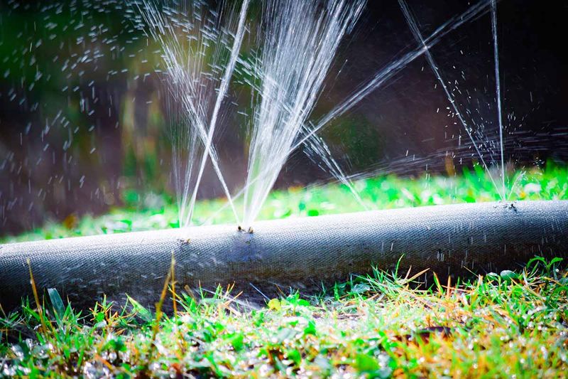 Frayed Garden Hose