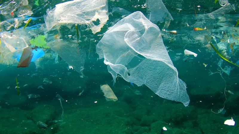 Plastic Usage